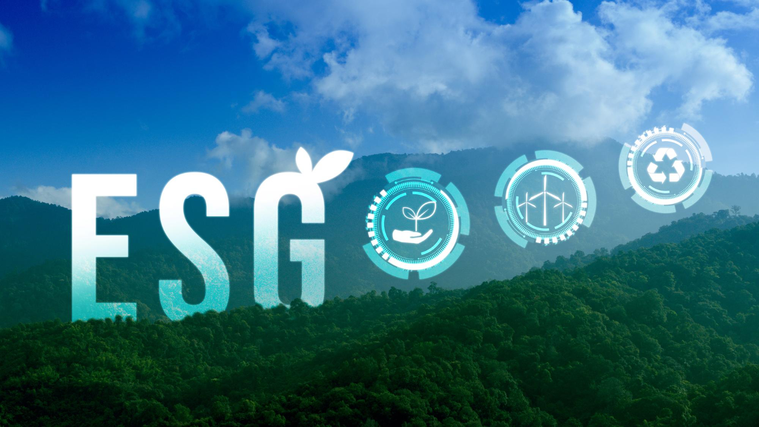 ���� ���� �濵